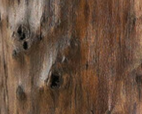 pfst0004_mo_frame_a_2