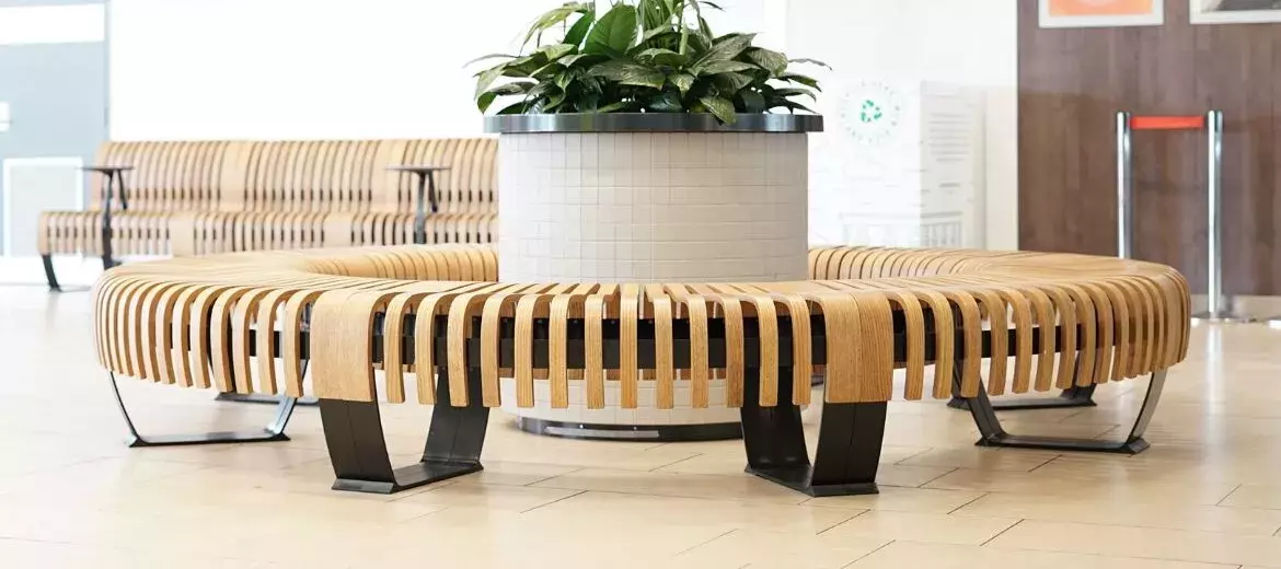 Public seating in an indoor common corporate space with indoor trees